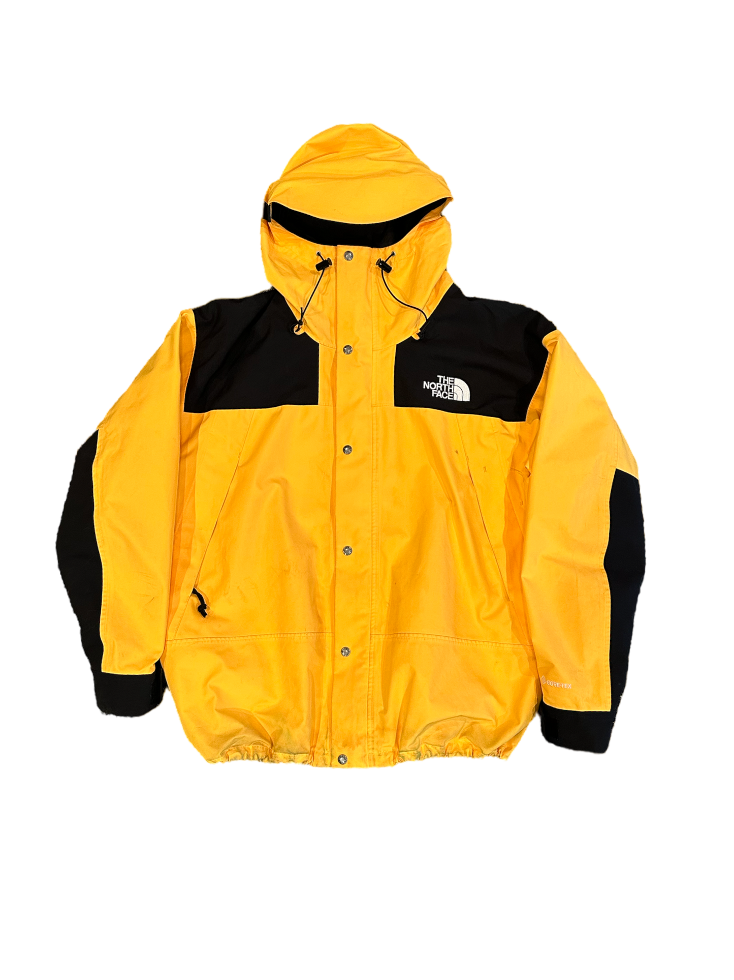 NORTH FACE GORE TEX JACKET